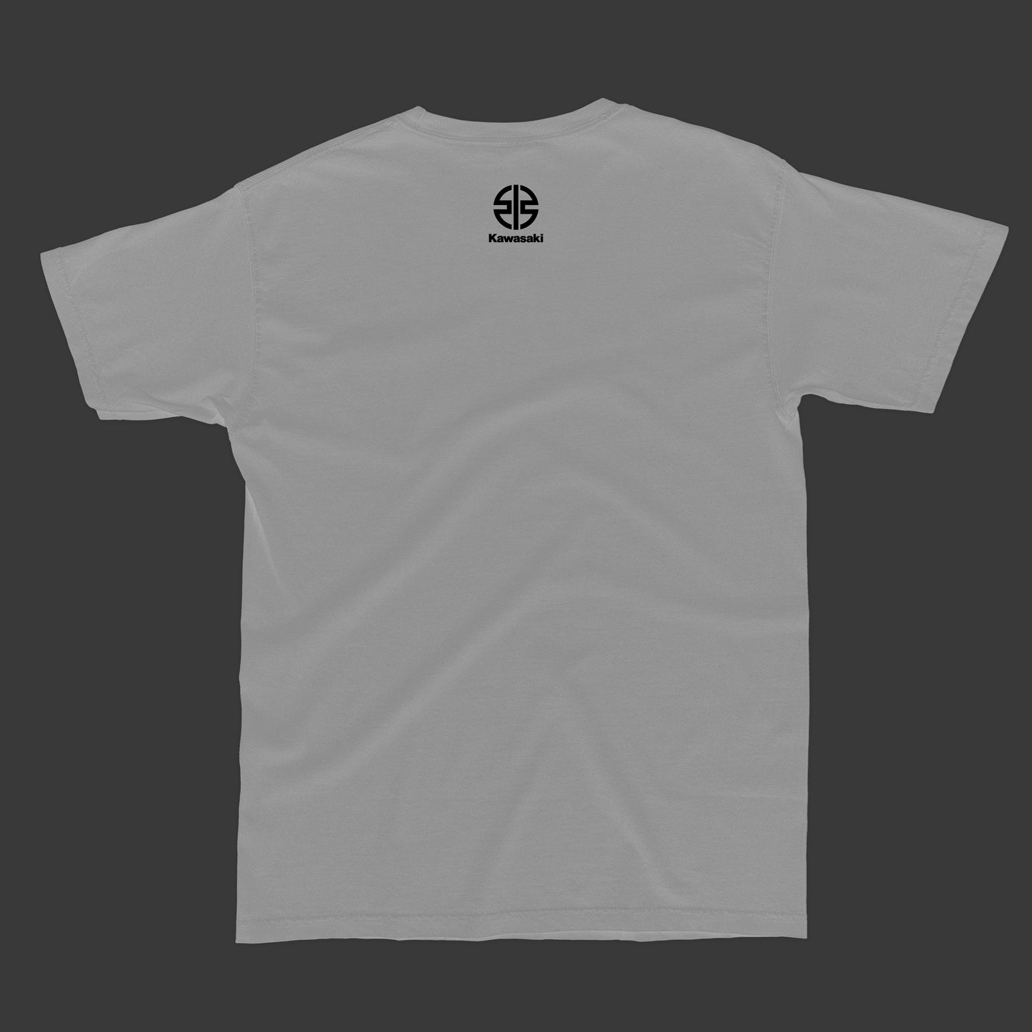 How to train your Dragon (zx6r) T-shirt
