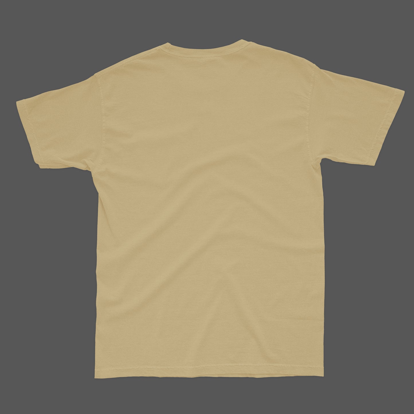 silver surfer beige printed T-shirt