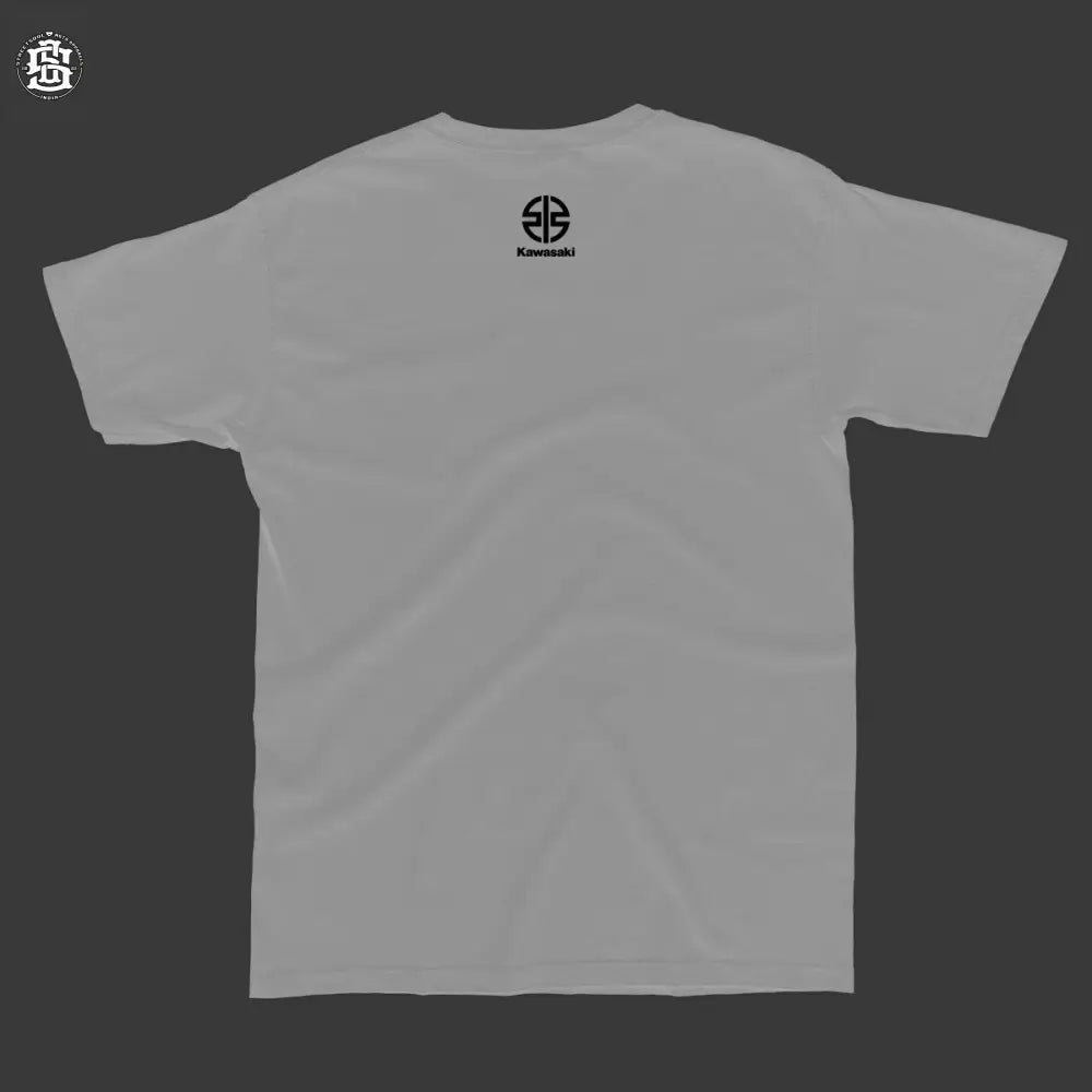 How to train your Dragon (zx6r) T-shirt - Street Soul Clothing