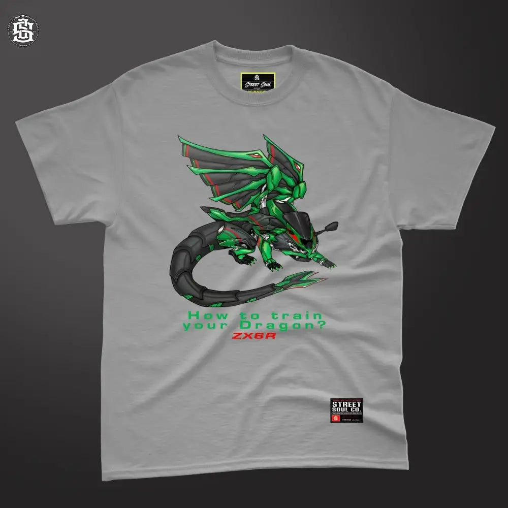 How to train your Dragon (zx6r) T-shirt - Street Soul Clothing