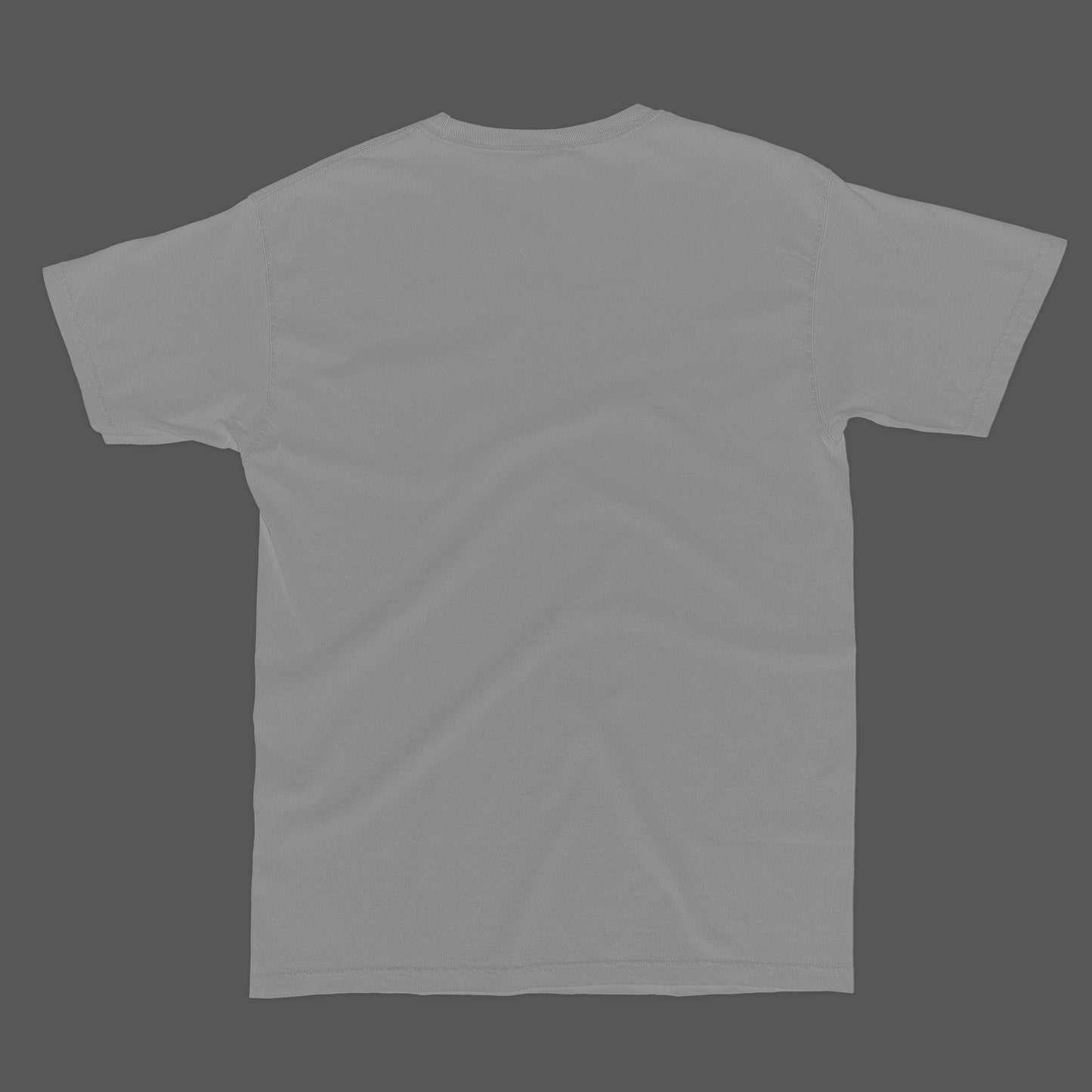 Bad boys 4 life Melange grey T-shirt