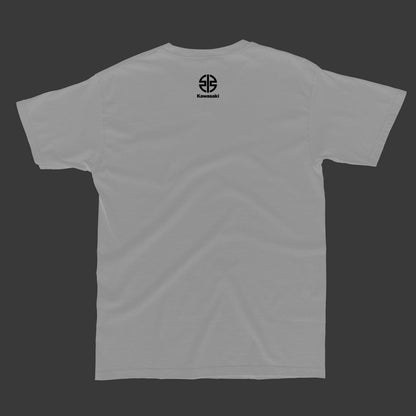 How to train your Dragon (zx6r) T-shirt